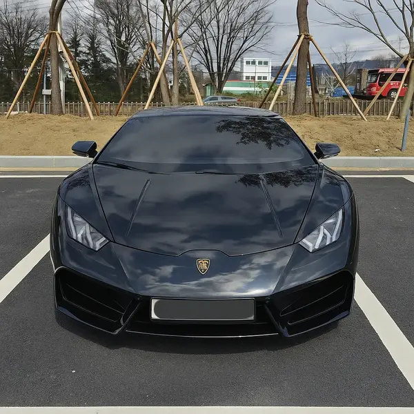 람보르기니 우라칸 스파이더 사고대차, 렌트 차량 사진