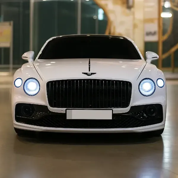 벤틀리 플라잉스퍼 사고대차, 렌트 차량 사진