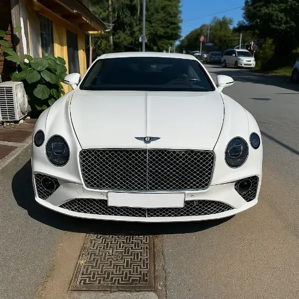 벤틀리 컨티넨탈GT 사고대차, 렌트 차량 사진