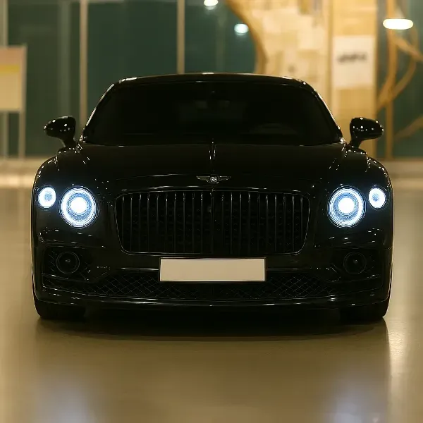 벤틀리 플라잉스퍼 사고대차, 렌트 차량 사진