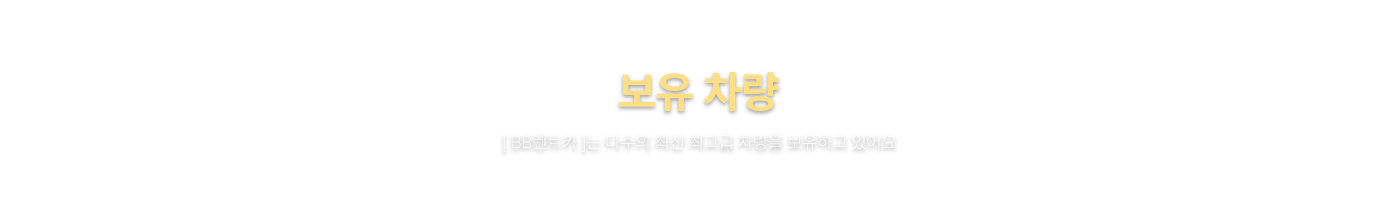 사고대차,수입차,슈퍼카 보유차량